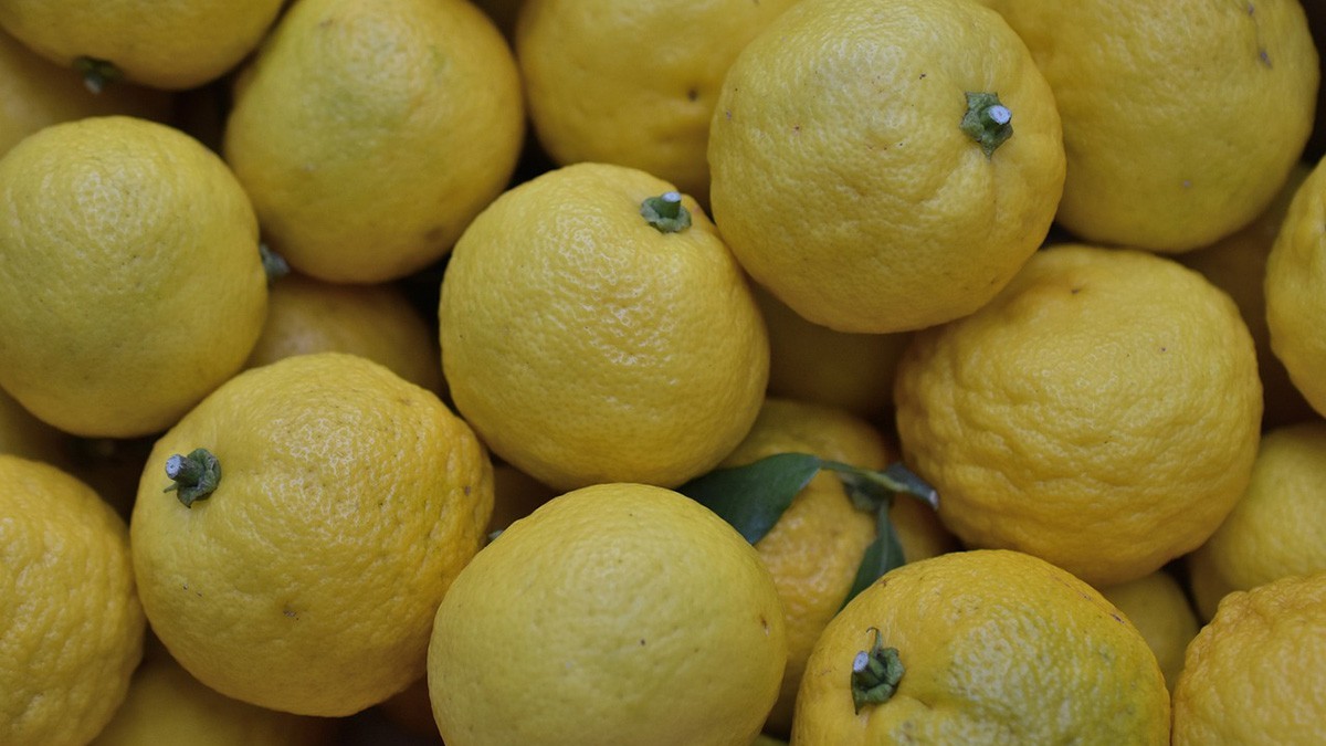 fruta inverno