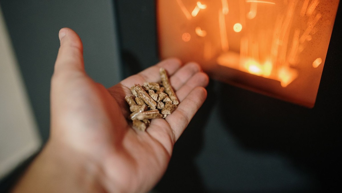 Pellets: sabes onde se deve deitar fora as cinzas da tua salamandra?