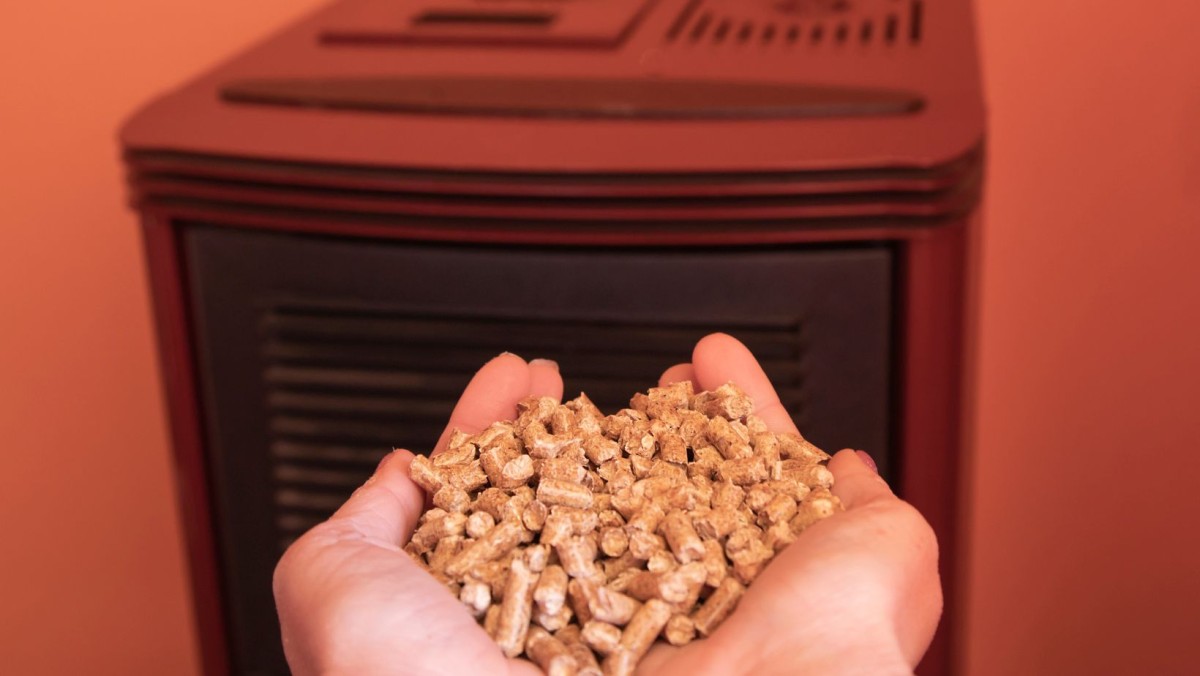Pellets: sabes onde se deve deitar fora as cinzas da tua salamandra?
