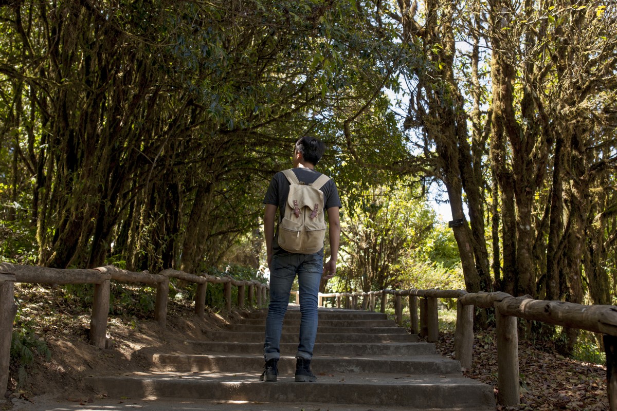 Fazer o Caminho de Santiago