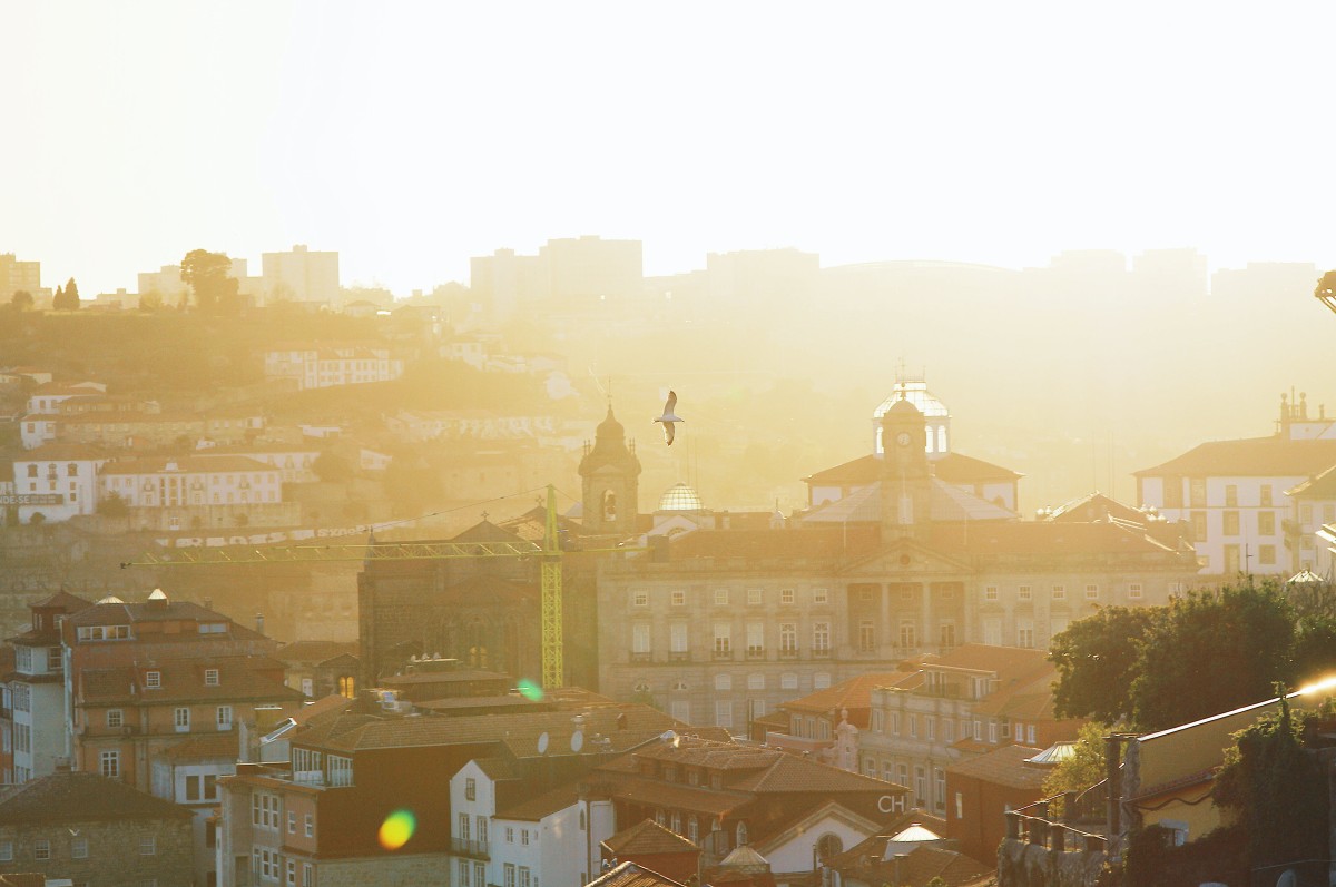 Viver na cidade do Porto: um guia completo