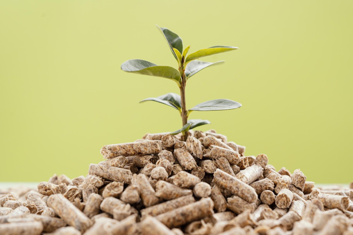 Pellets: sabes onde se deve deitar fora as cinzas da tua salamandra?