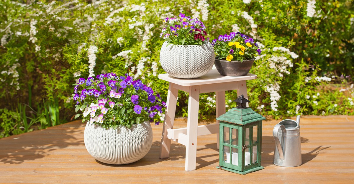 decorar o jardim