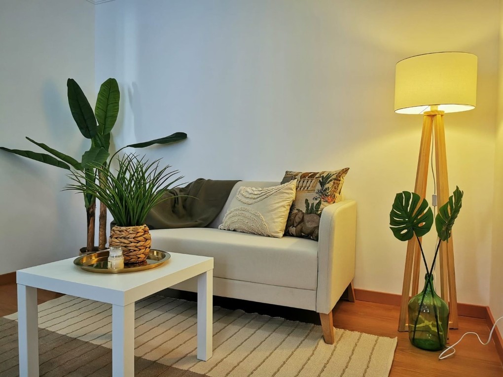 Decoração em 2024