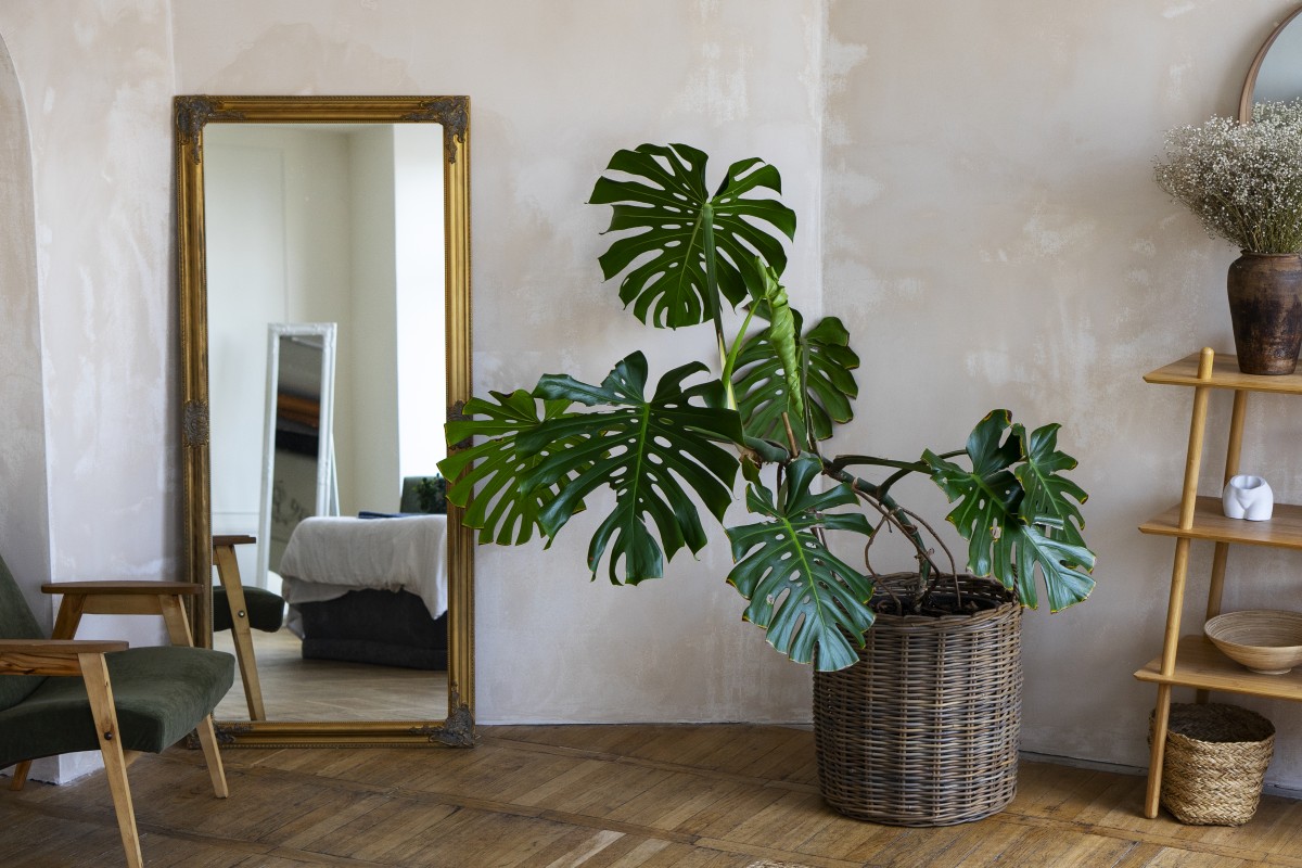 Saldos 2024: aproveita da melhor maneira para decorares a casa