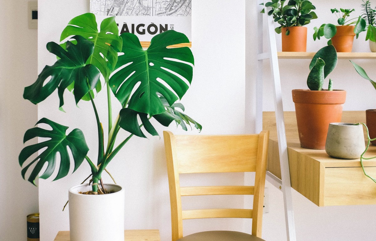 Saldos 2024: aproveita da melhor maneira para decorares a casa