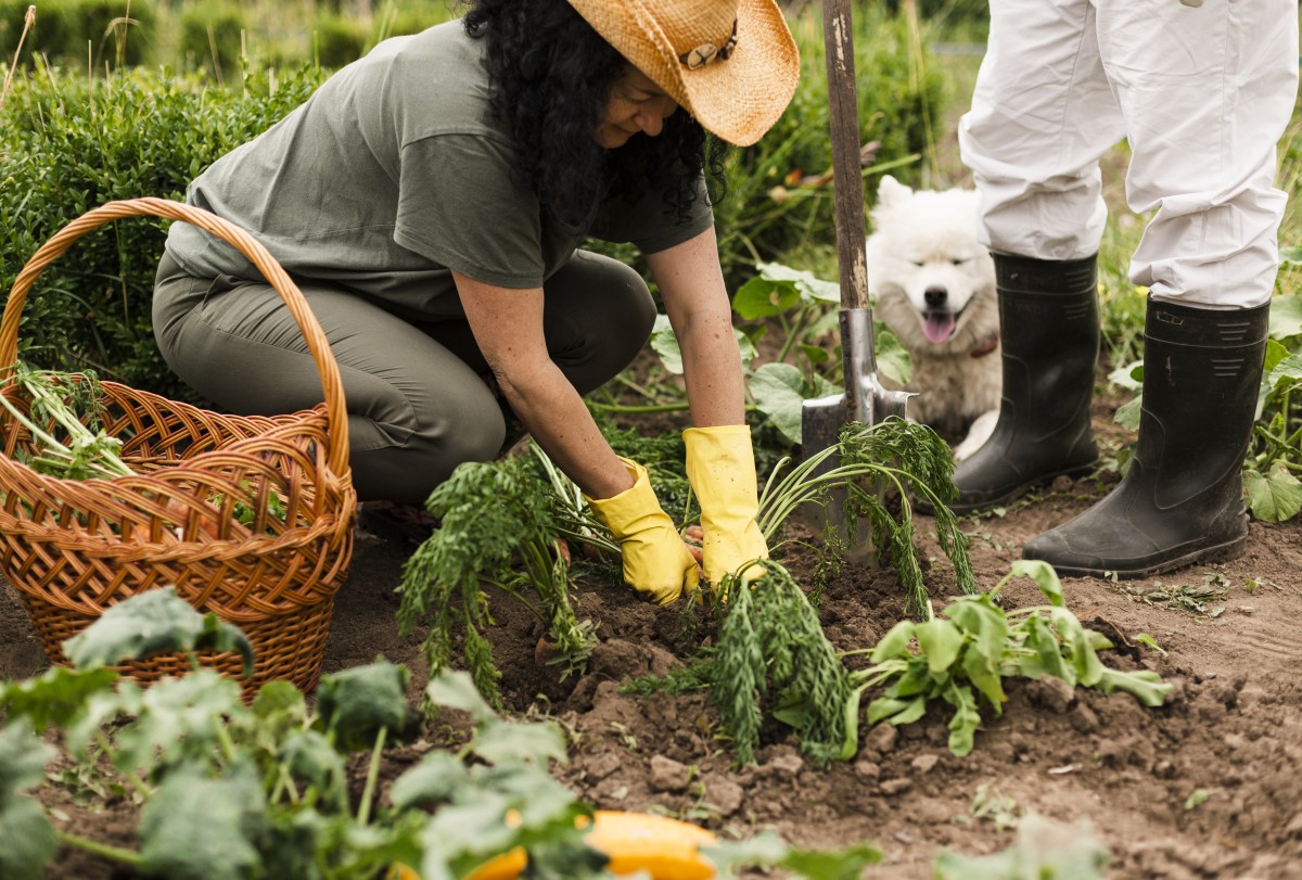 Flores para plantar em qualquer região no mês de abril - Diário Agrícola