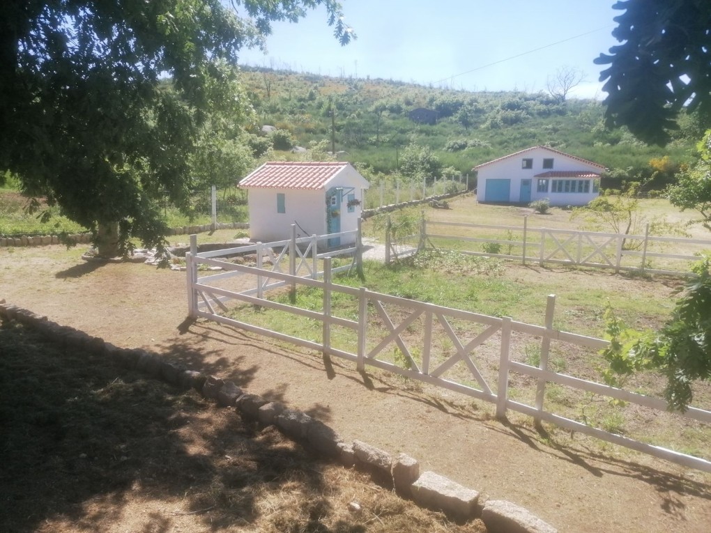 Ter uma estufa em casa