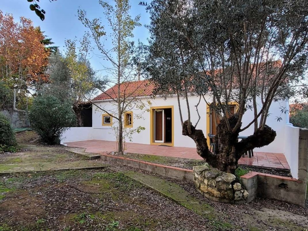 Colocar uma estufa no jardim