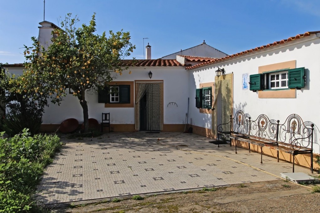 Casas à venda com espaço para uma estufa