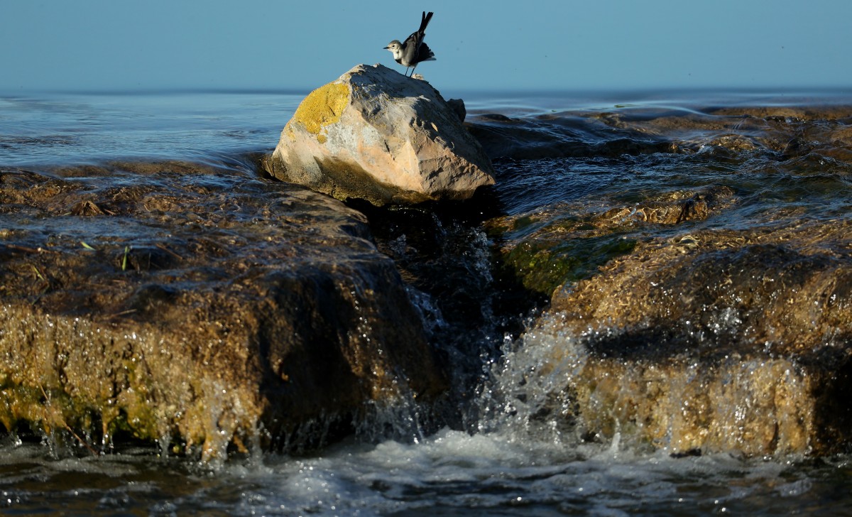 Seca no Algarve e construção de dessalinizadora