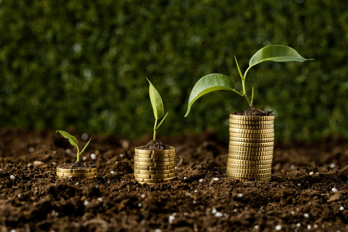saber investir dinheiro