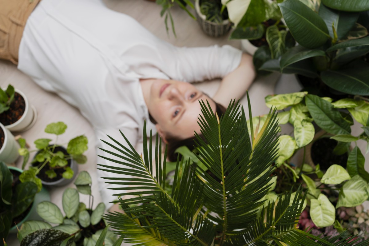 Plantas para o quarto: estas opções vão ajudar-te a dormir melhor