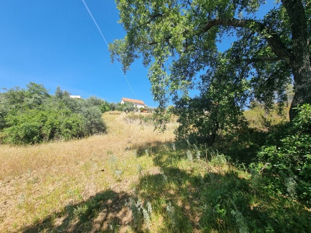 Terrenos rústicos não urbanizáveis à venda