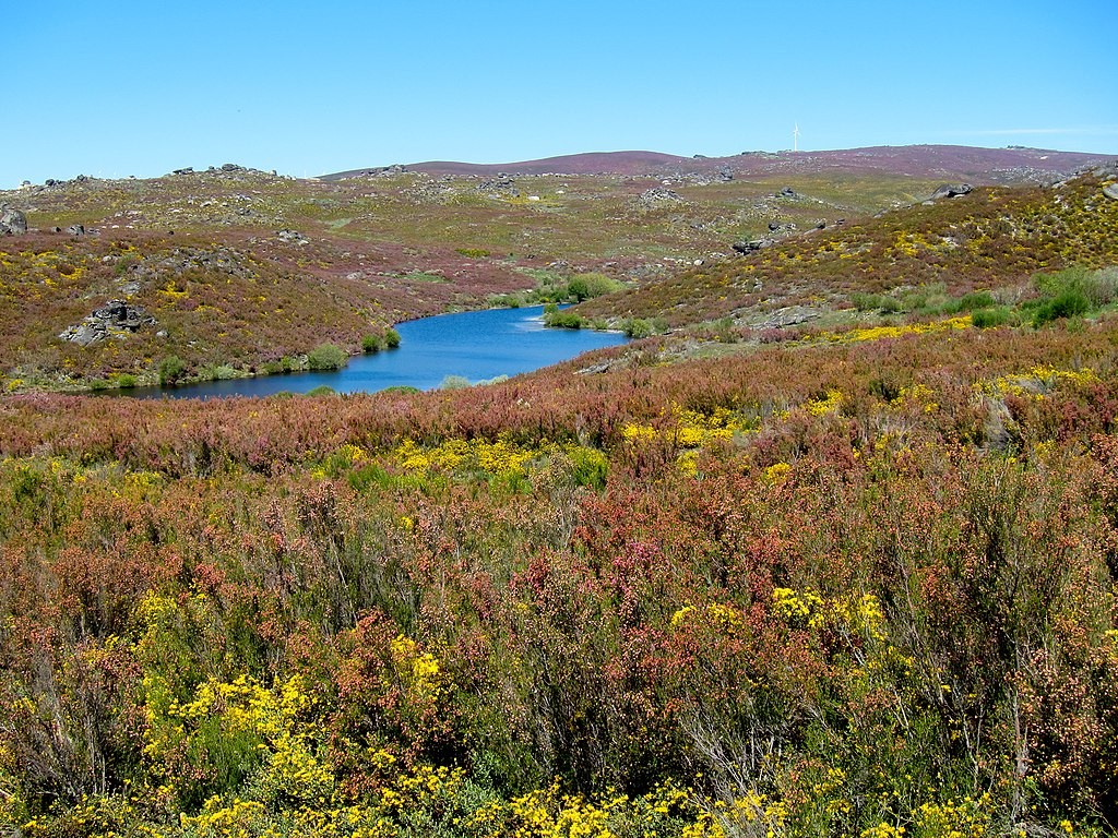 Parque Natural Montesinho