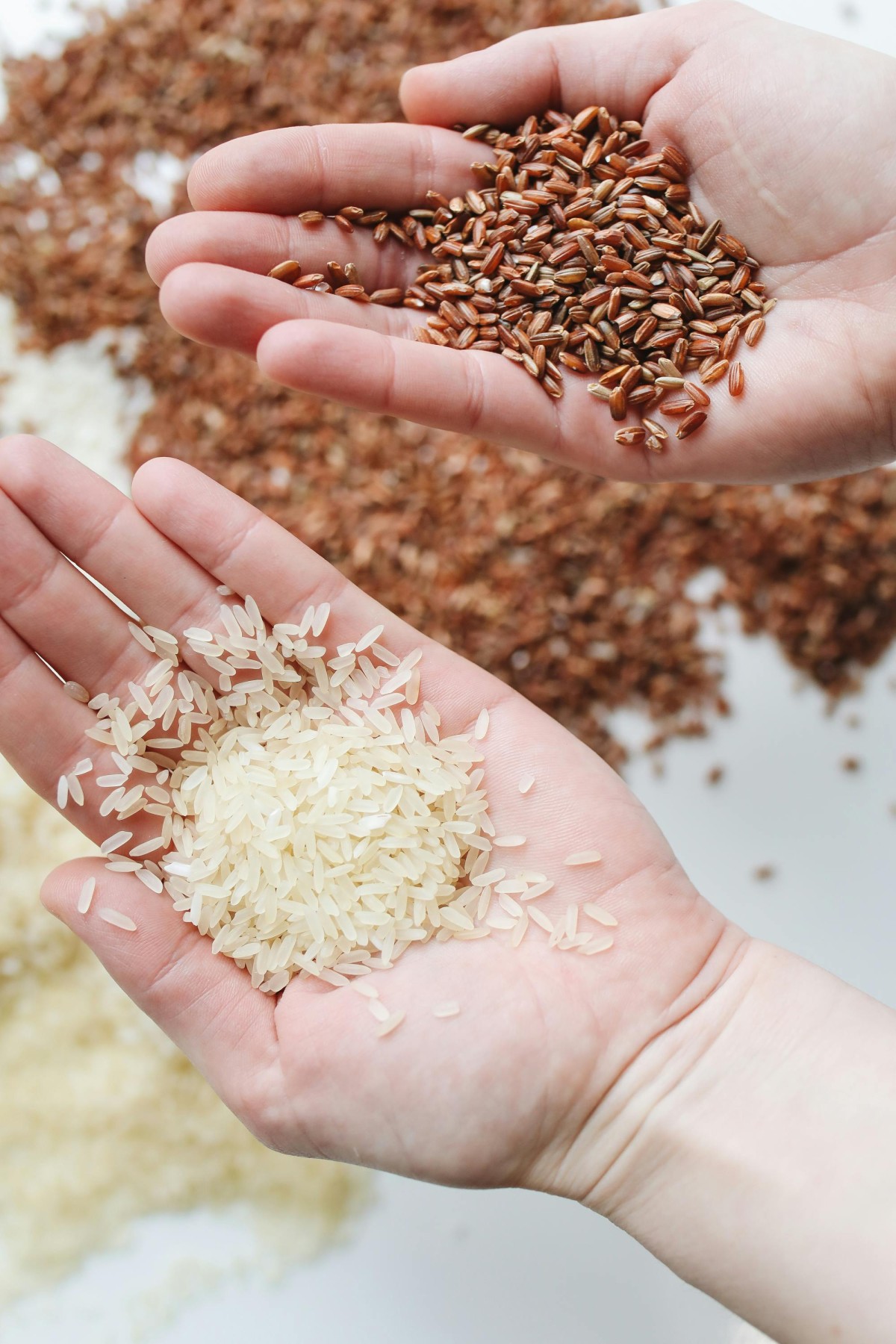 arroz