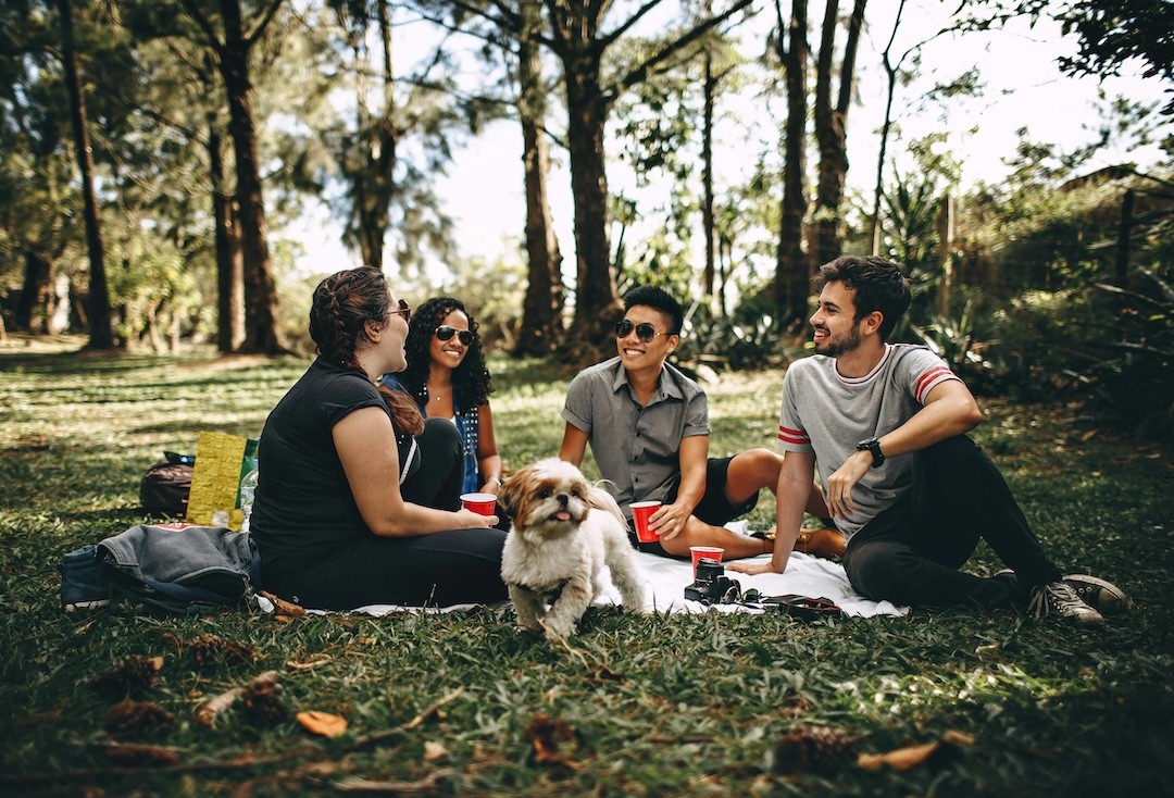 piquenique de primavera com amigos