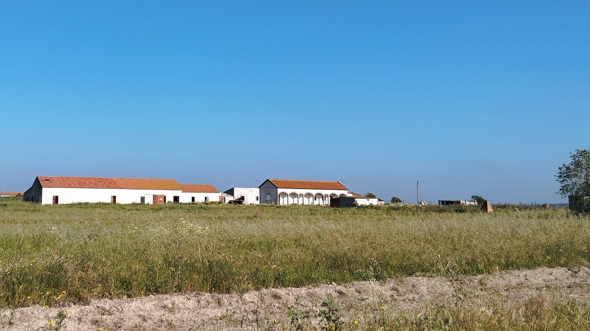 Quinta Palmela