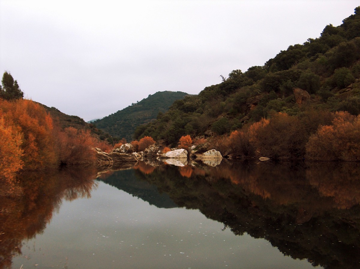 Morar em Bragança: um verdadeiro tesouro no coração de Trás-os-Montes