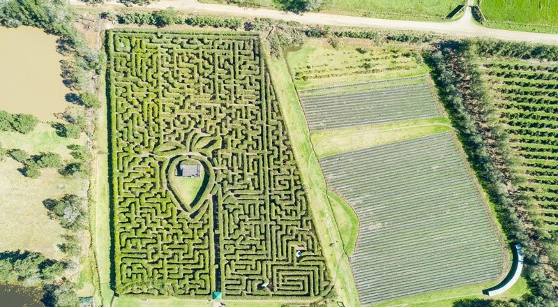 os labirintos mais impressionantes do mundo