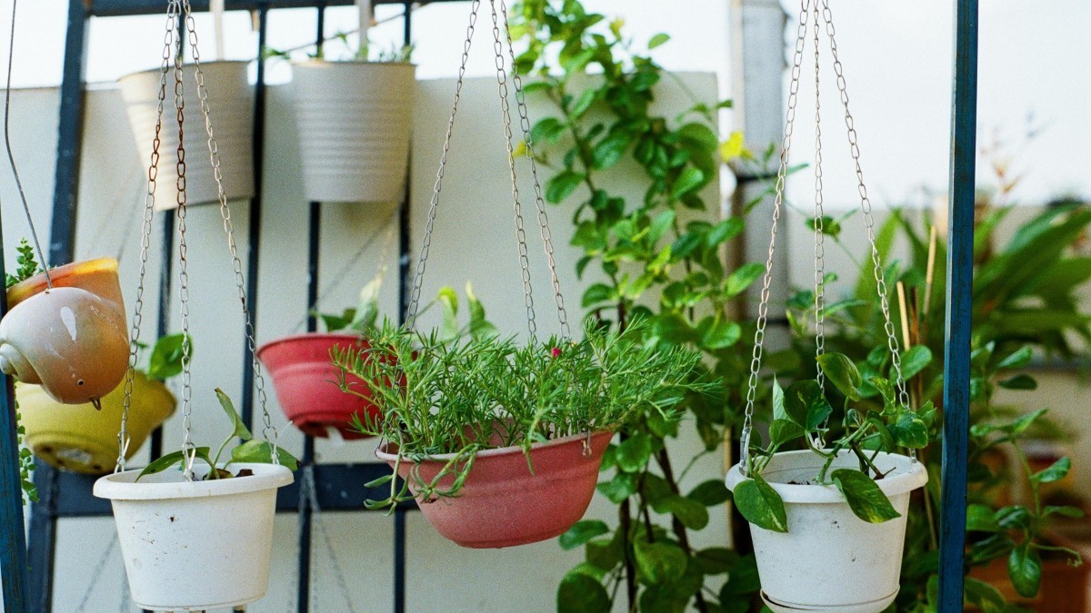 jardim vertical
