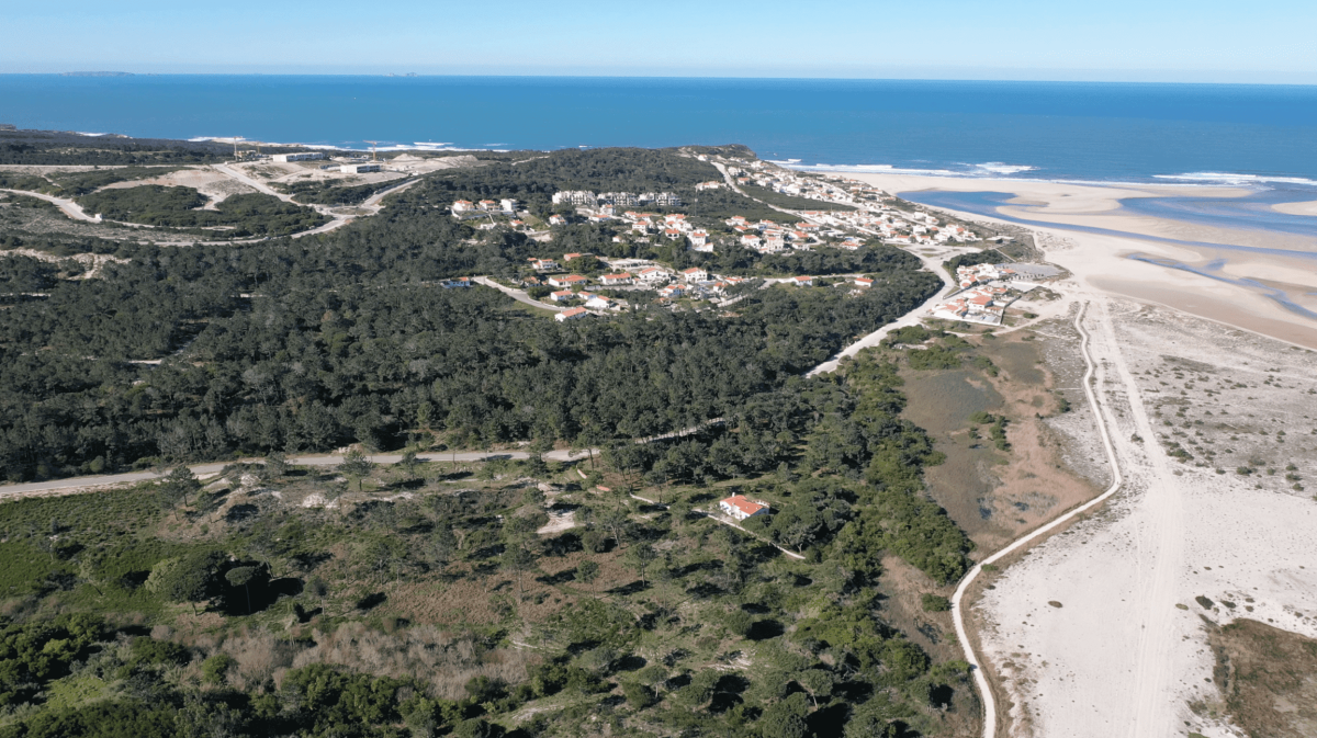 Terrenos vendidos em leilão
