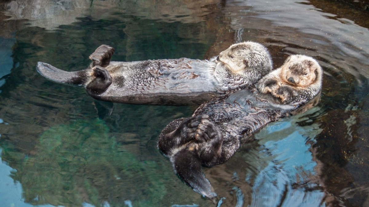 Ce să vezi în Lisabona