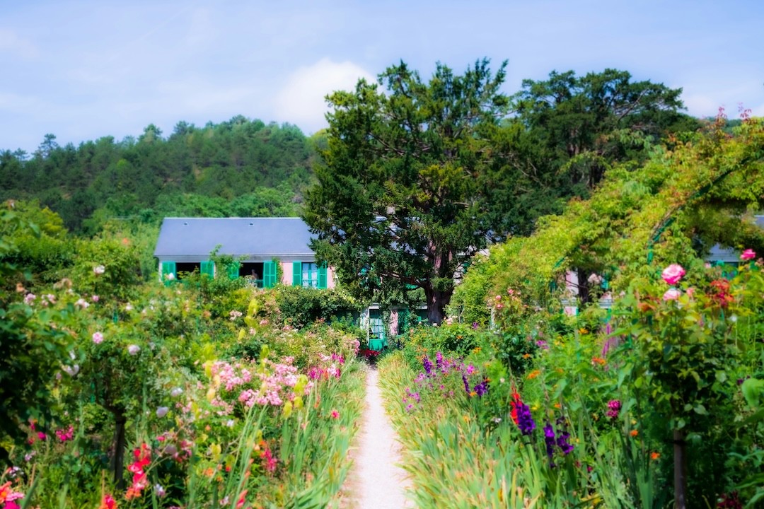decoração de jardim com flores