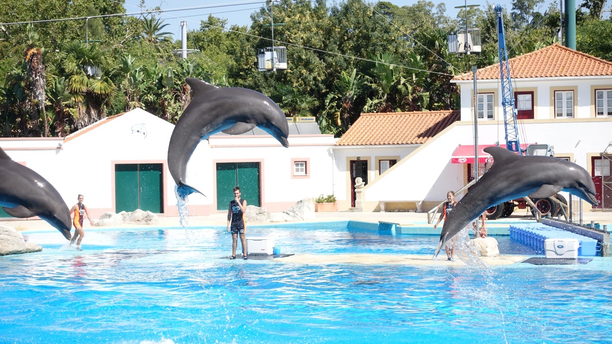 o que ver no jardim zoológico de lisboa