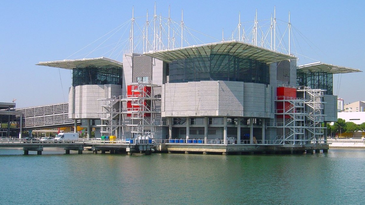 o que ver no oceanário de lisboa