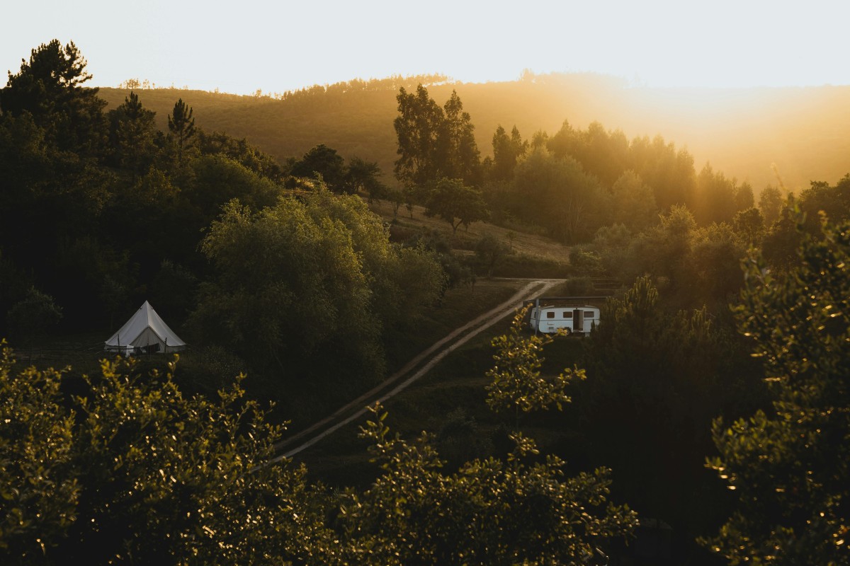 Limpeza de terrenos em Portugal