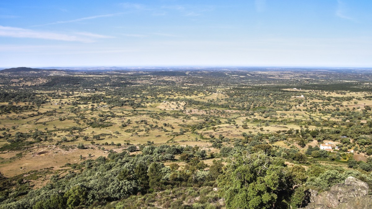 o que ver em portalegre