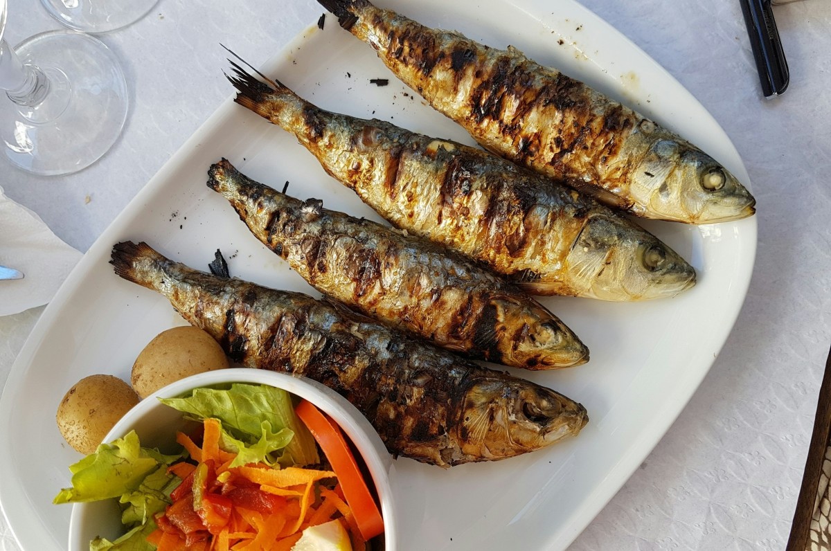 Sardines