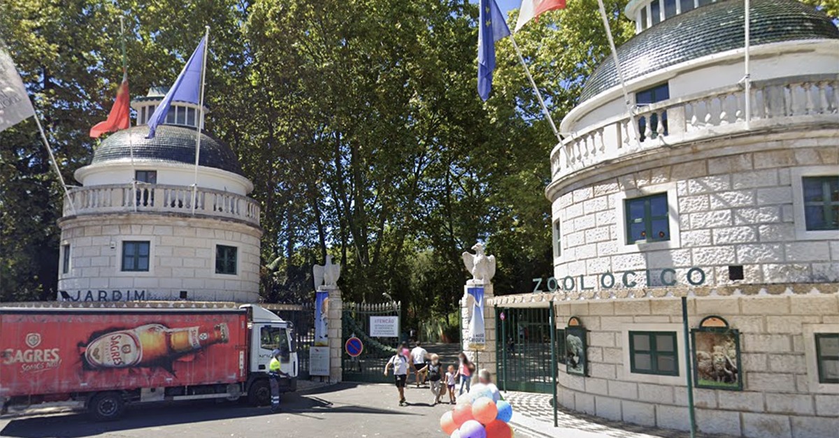 o que ver no jardim zoológico de lisboa