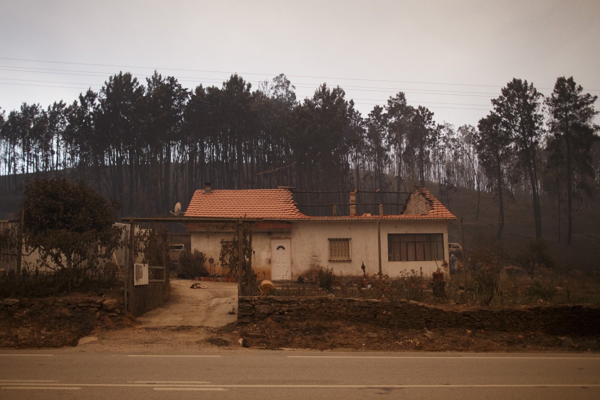 Casas destruídas nos incêndios