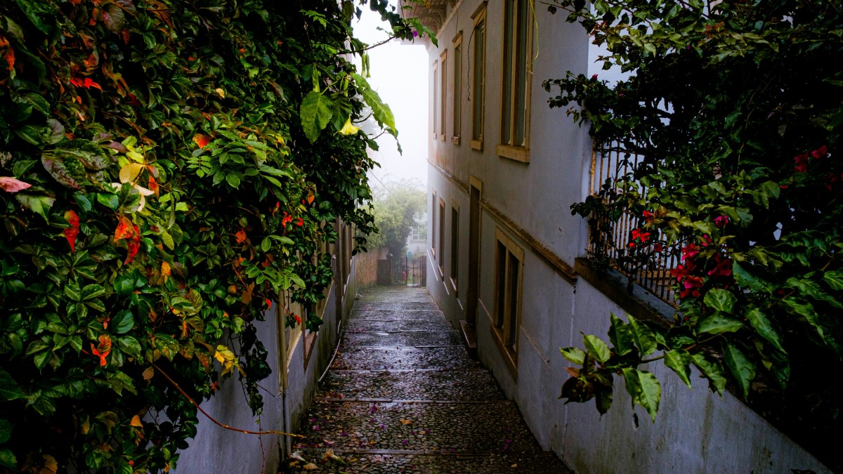 Ce să vezi în Sintra