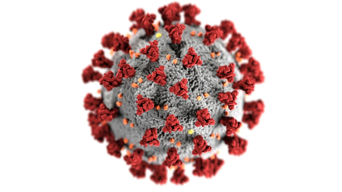 hepatite