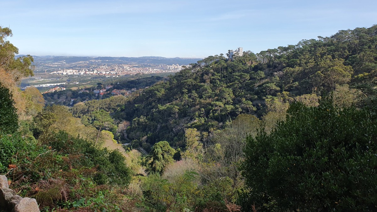 Ce să vezi în Sintra