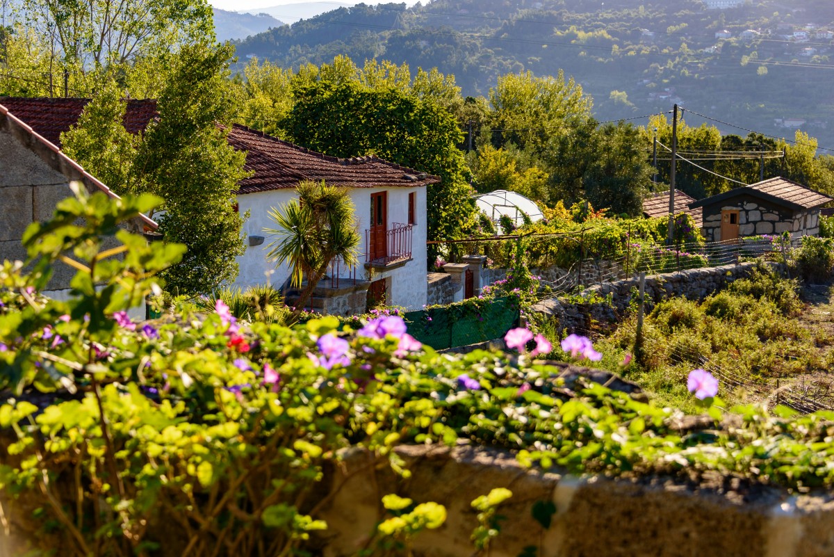 turismo rural