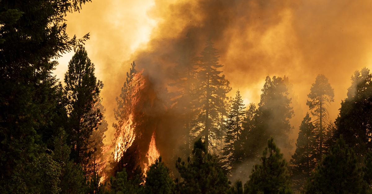 Incêndios florestais em Portugal