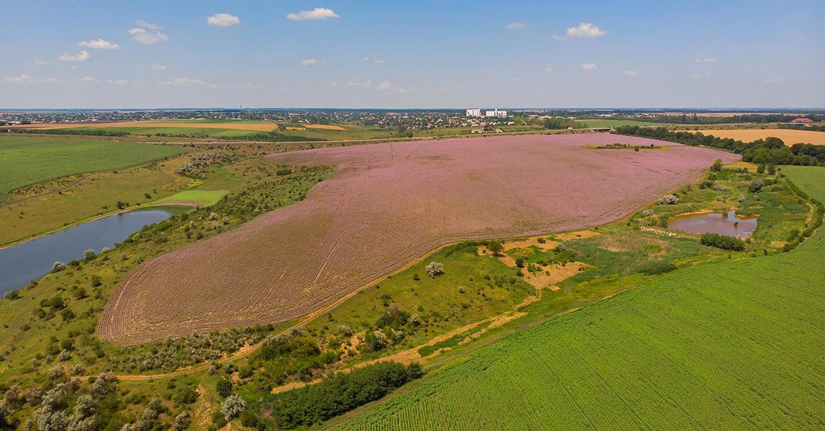 Revisão da lei dos solos
