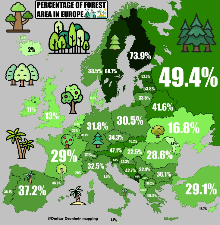 Florestas em Portugal