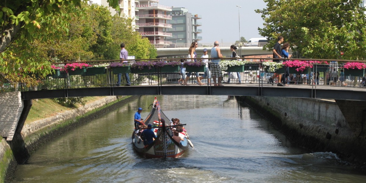 Passeio de Moliceiro