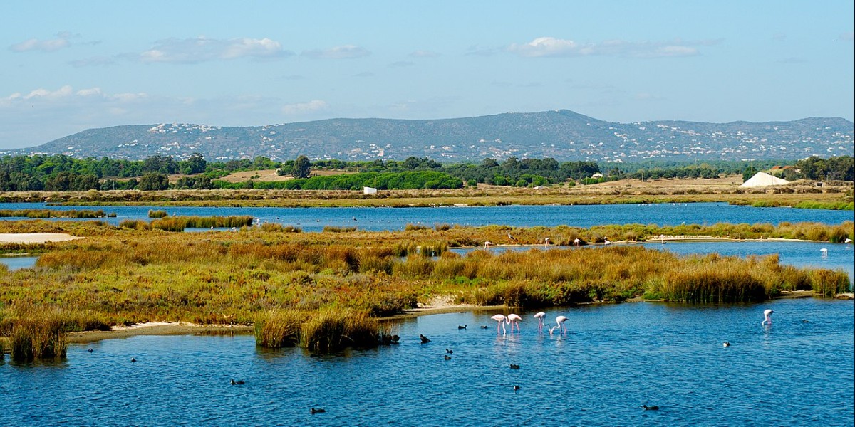 Ria Formosa