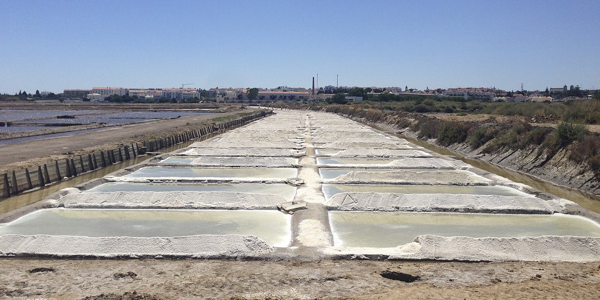 Salinas de Tavira