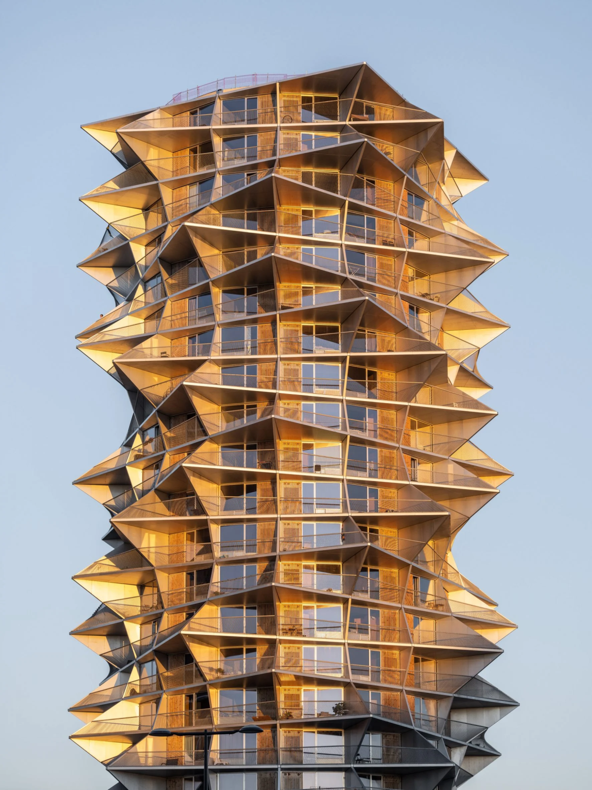 Torres Kaktus