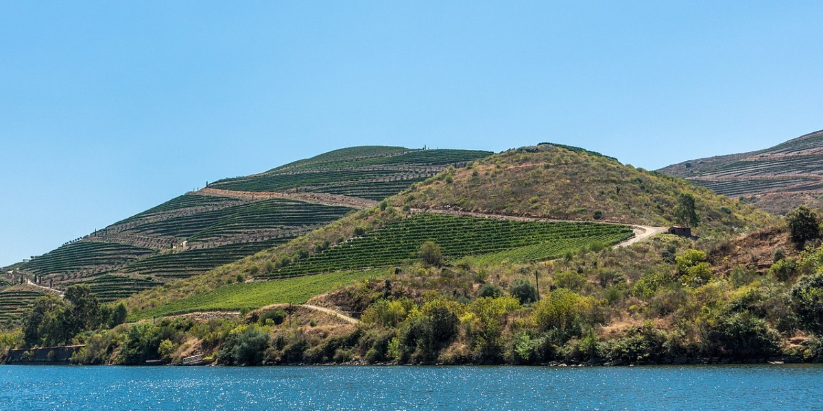 Regiunea viticolă Douro