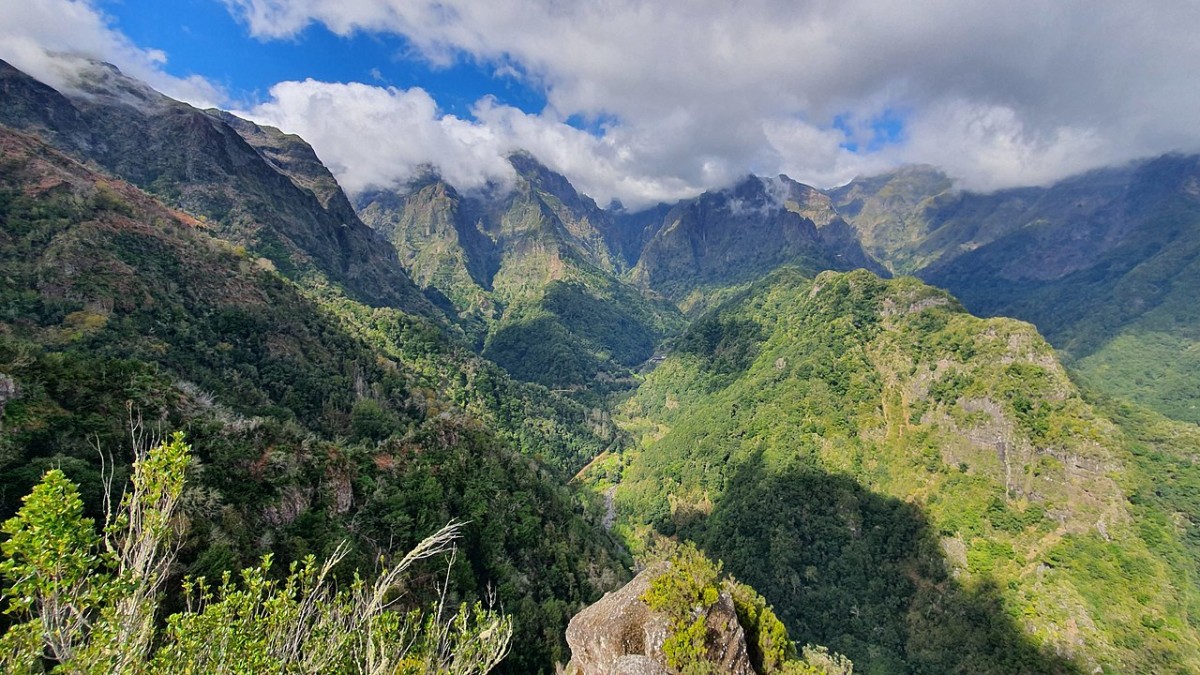 Floresta Laurissilva