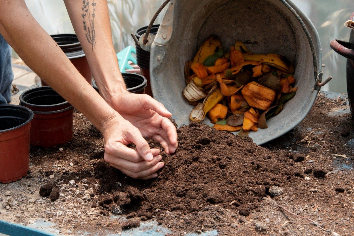 compostagem de cápsulas de café