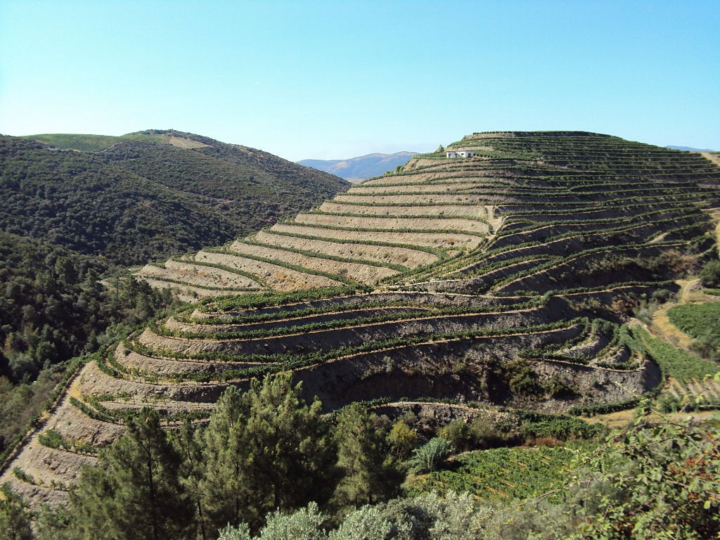 Douro Vinhateiro